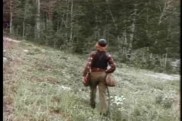 Vue arrière du garçon marchant vers la forêt — Video