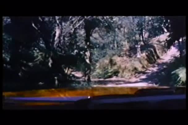 Řidič pohledu záběr lesní cesta — Stock video