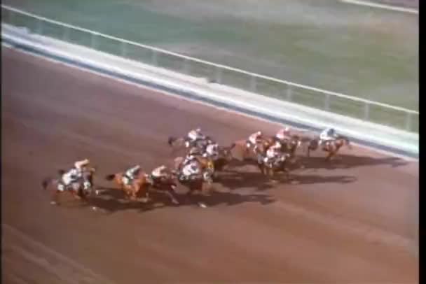 Vista de ángulo alto de la carrera de caballos — Vídeos de Stock