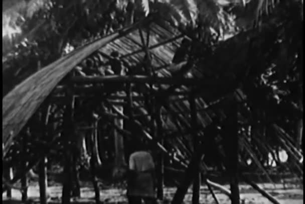 Inselbewohner bauen ein Haus — Stockvideo