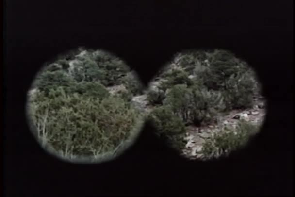 Punto de vista desde binoculares que buscan en la ladera de la montaña — Vídeos de Stock