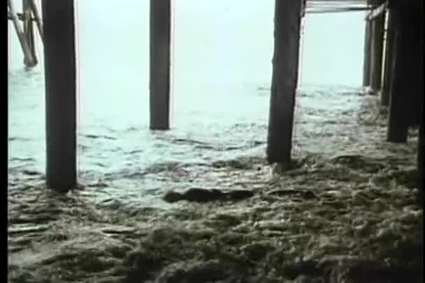 Cuerpo de hombre muerto flotando en el agua debajo del muelle — Vídeos de Stock