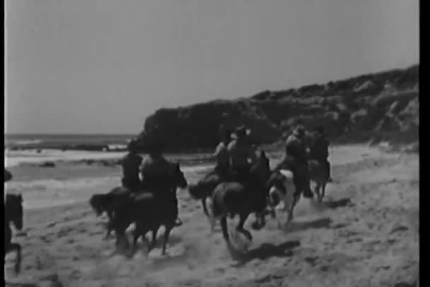 Kovbojové na cválající koně, na koni po pláži se pes