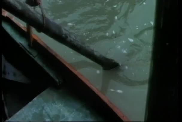 Середній постріл чоловіків веслування на човні — стокове відео