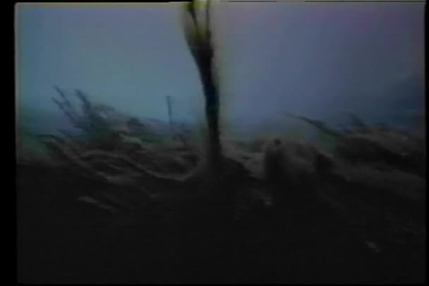 Точка зору дайверів, які плавають на дні океану — стокове відео
