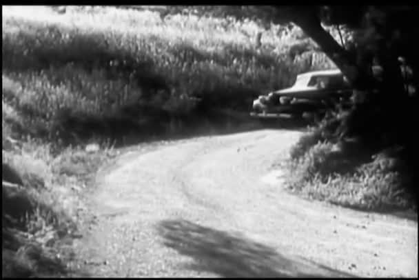 Voiture des années 1940 s'arrêtant sur le bord de la route de campagne — Video