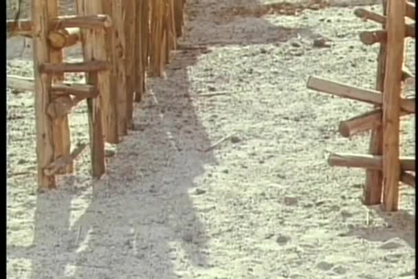 Homme élevant des chèvres dans le corral — Video