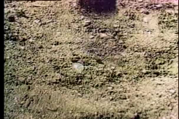 Soldats marchant sur les mines terrestres 