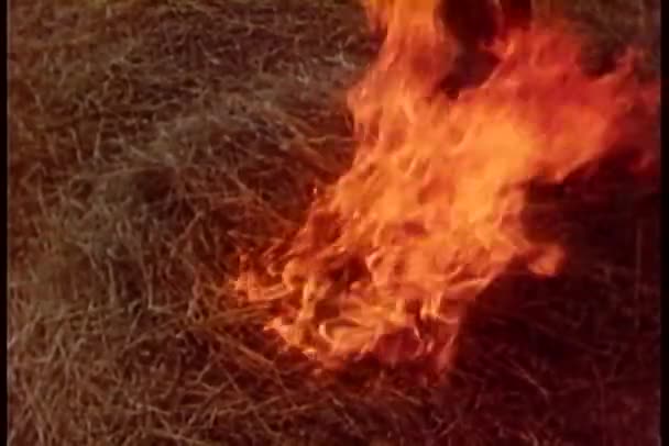 Szczegół płonącego stosu siana — Wideo stockowe