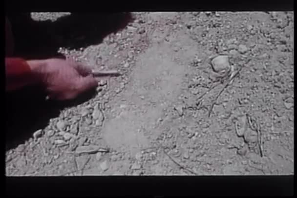 Yakın çekim el sopa kir içinde büyük ayak izi incelenmesi — Stok video