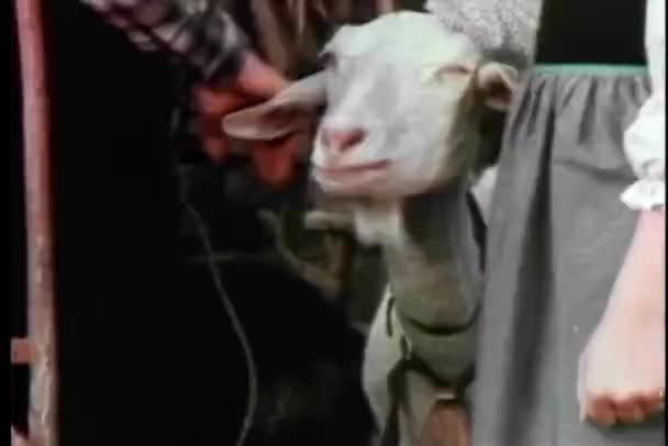 Medium shot of boy and girl with a goat — Stock Video