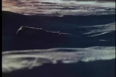 geniş bir kar karlı bölgede esen rüzgar shot