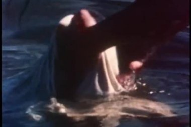 Orta Ren geyiği cilt yıkama elinde atış