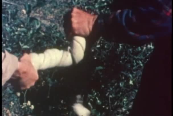 Mittlere Aufnahme zweier Hände, die Karibus-Haut verdrehen und trocknen — Stockvideo