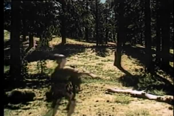 Rückansicht von Soldaten, die durch Wald laufen — Stockvideo