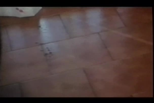 Panning piso de azulejos com pegadas de lama — Vídeo de Stock