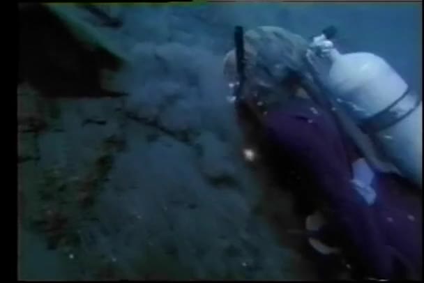 Scuba diver plavání ve spodní části řeky — Stock video