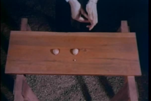 Jouer au jeu avec des noix et du marbre sur une table en bois — Video