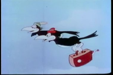 magpies bavulla uçan