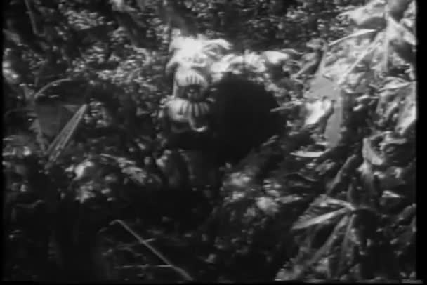 Ιθαγενείς στην δρόμος πόλεμου διακινούνται μέσω ζούγκλα — Αρχείο Βίντεο