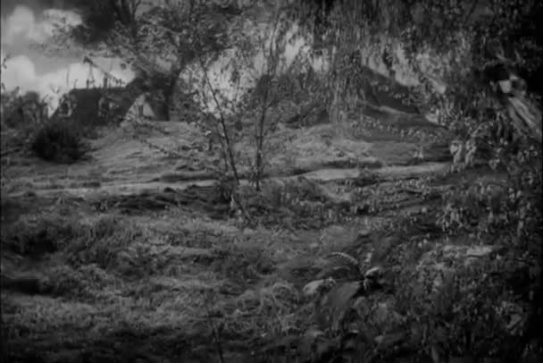 Woman running along path through forest — Stock Video