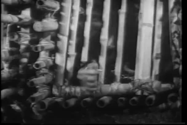 Macaco de close-up tentando abrir o bloqueio de dentro da gaiola — Vídeo de Stock