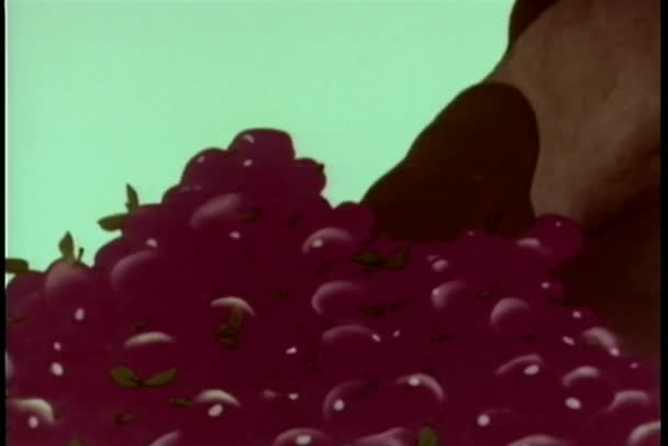 Карикатура на белку, вылезающую из яблочной кучи — стоковое видео