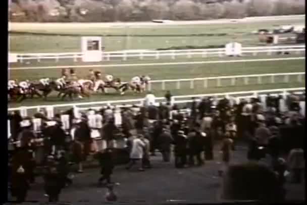 Multidão assistindo corrida de cavalos — Vídeo de Stock