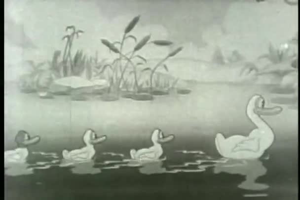 Широкая семья уток плавает на пруду — стоковое видео