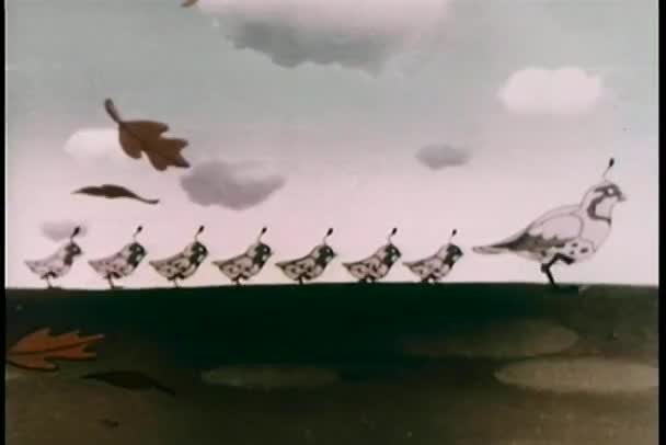 Grande famille de cailles volant — Video