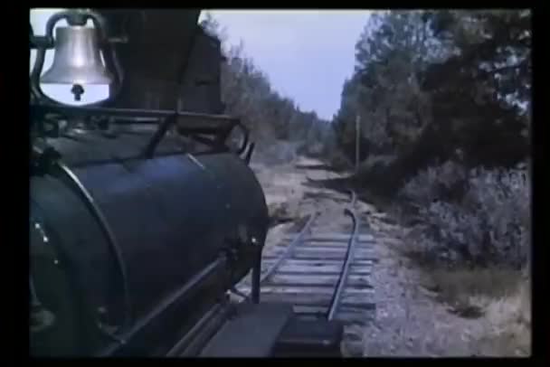 Locomotive voyageant à travers la campagne — Video