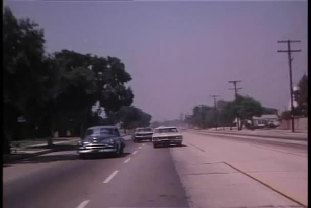 Persecución de coches en camino arbolado — Vídeo de stock