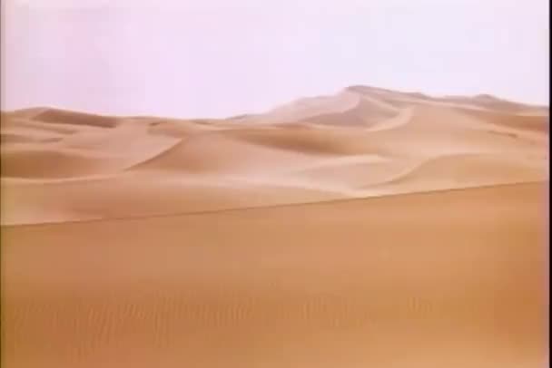 砂漠のワイド ショット — ストック動画