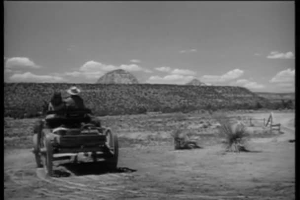 马画马车开车穿越沙漠平原 — 图库视频影像