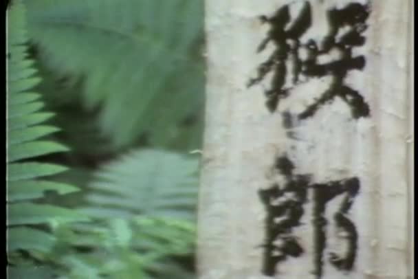 缩小他们的敬意在中国坟墓送葬者 — 图库视频影像
