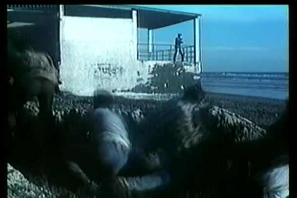 ビーチでの軍事基地を攻撃するゲリラの背面図 — ストック動画