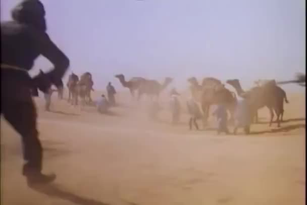 Shootout in woestijn — Stockvideo