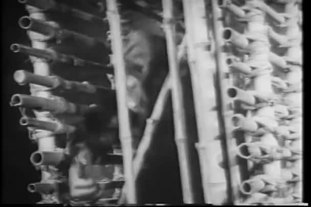 Mono escapando de la jaula — Vídeo de stock