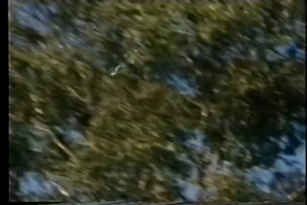 喷涂化学品从直升机来灭火 — 图库视频影像