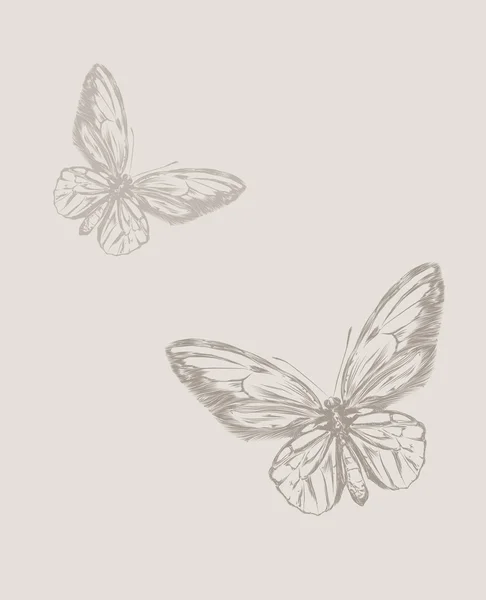 Vintage hand tekenen vlinder vector eps 8 — Stockvector