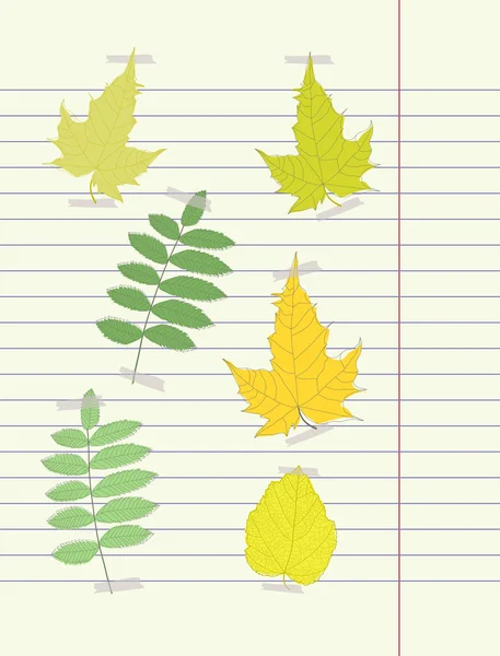 Dessin à la main vecteur feuille automne — Image vectorielle