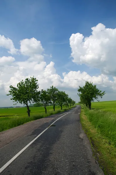 Vacker natur — Stockfoto