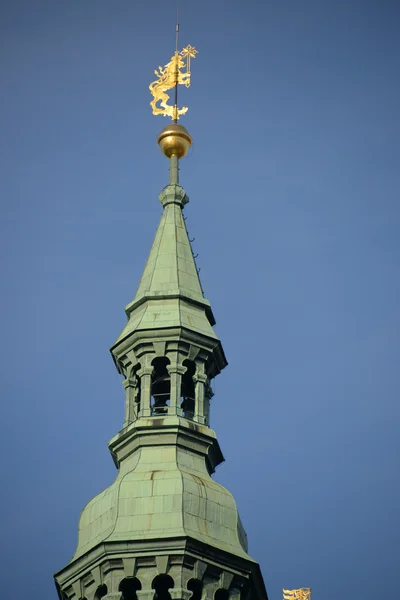 Die Spitze des Turms der Kathedrale — Stockfoto