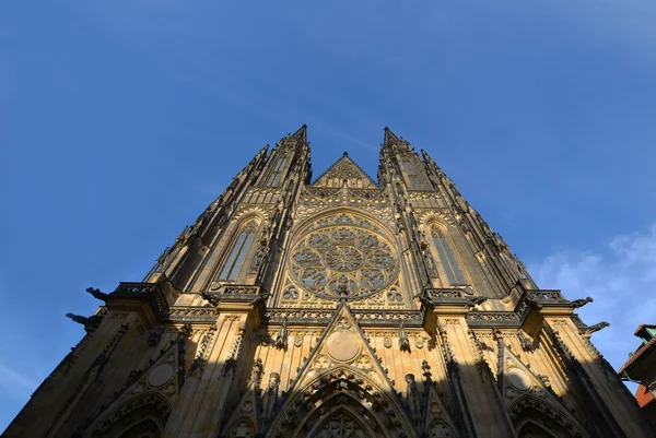 Prag 'daki Aziz Vitus Katedrali — Stok fotoğraf