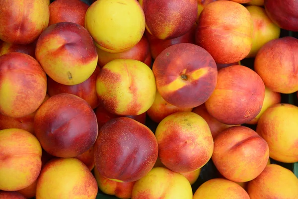 Nectarines — Stock fotografie