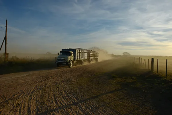 Transporte en camión — Foto de Stock