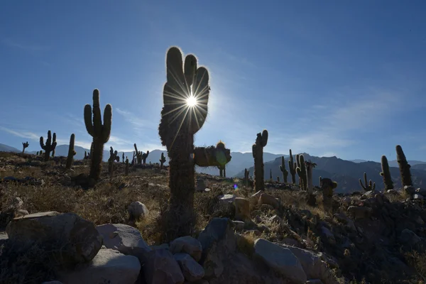 Argentina in Sud America — Foto Stock