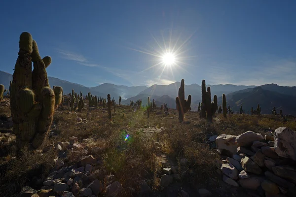 Argentina in Sud America — Foto Stock