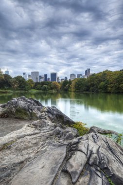 Central park