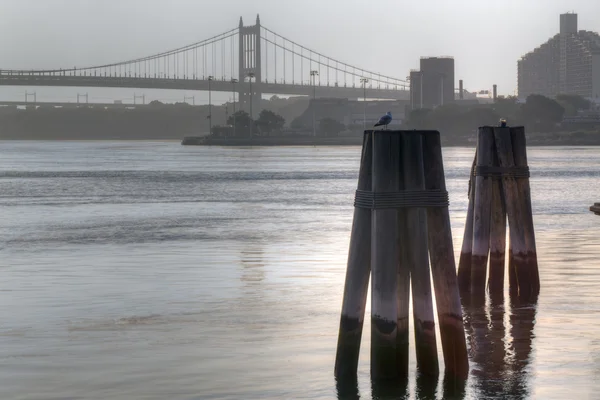 ニューヨーク市の橋 — ストック写真